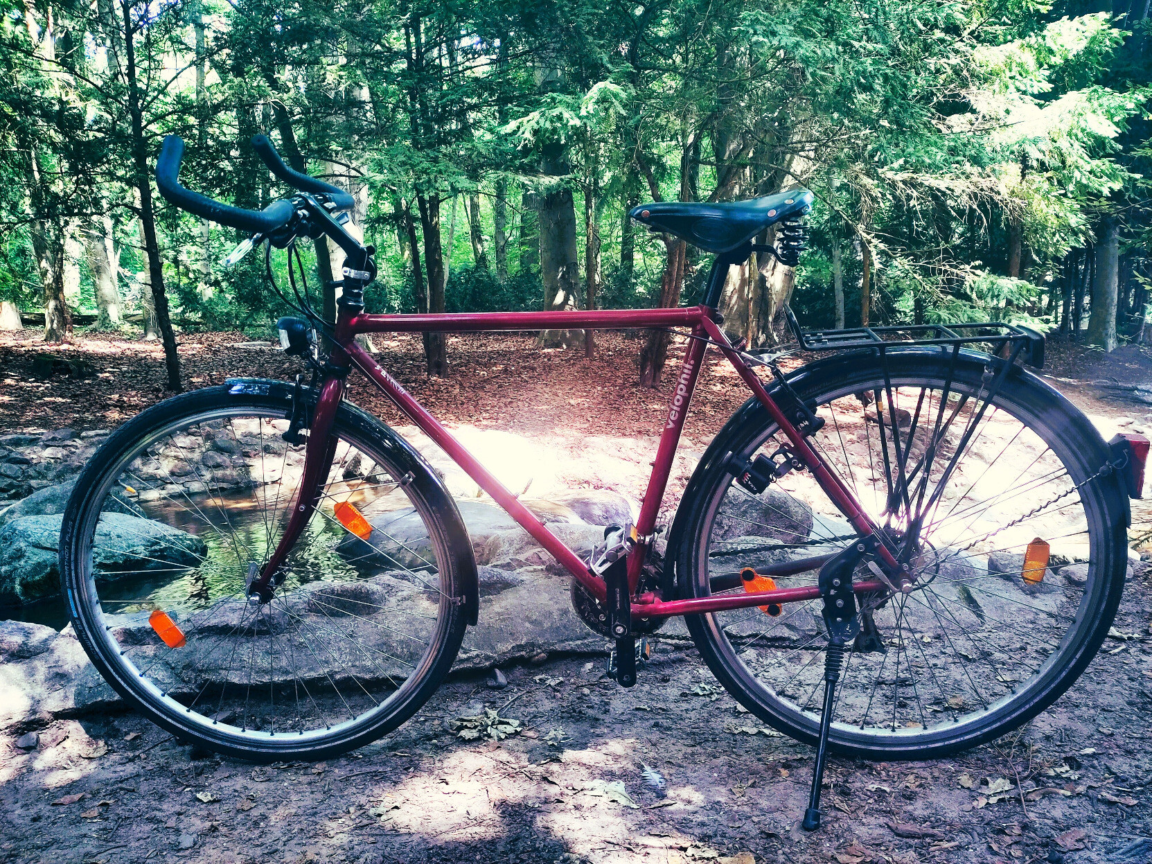 Ein Fahrrad mit rotem Rahmen steht im Wald. Die Sonne erreicht nur wenige Flächen am Boden.